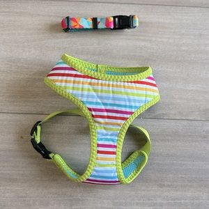 Small dog harness & collar 🐕